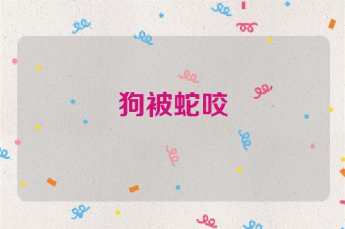 狗被蛇咬