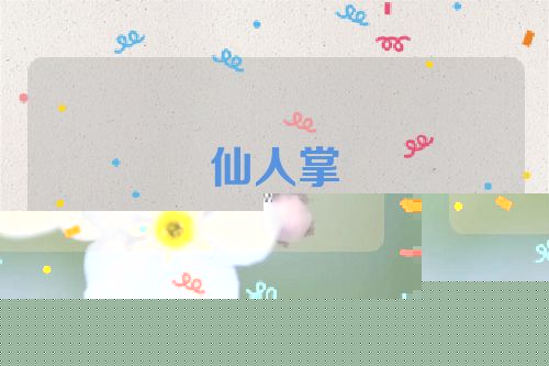 仙人掌