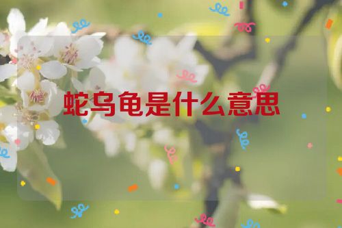 蛇乌龟是什么意思