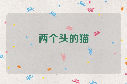 两个头的猫