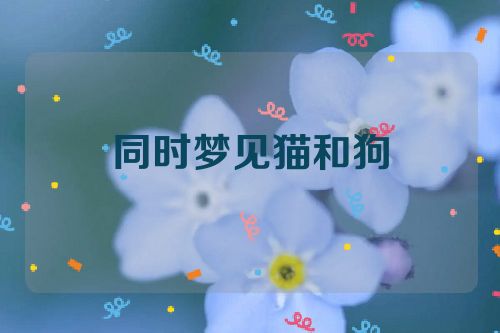 同时梦见猫和狗