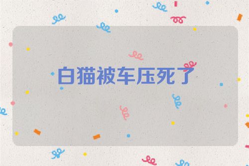白猫被车压死了