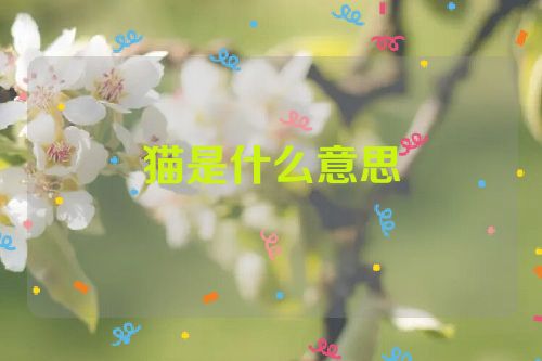 猫是什么意思