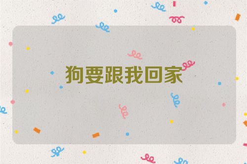 狗要跟我回家