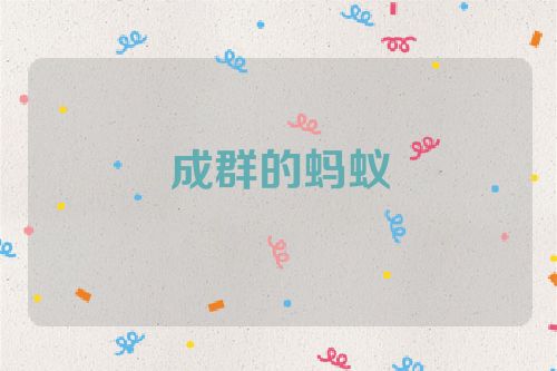 成群的蚂蚁