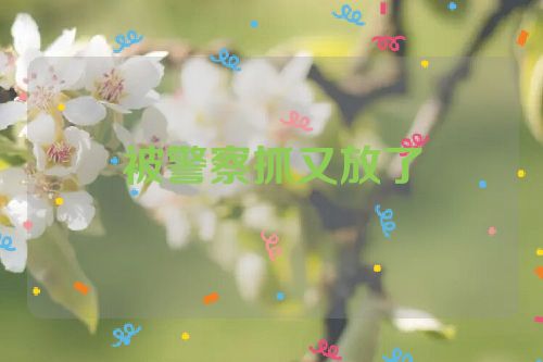 被警察抓又放了