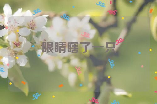 眼睛瞎了一只