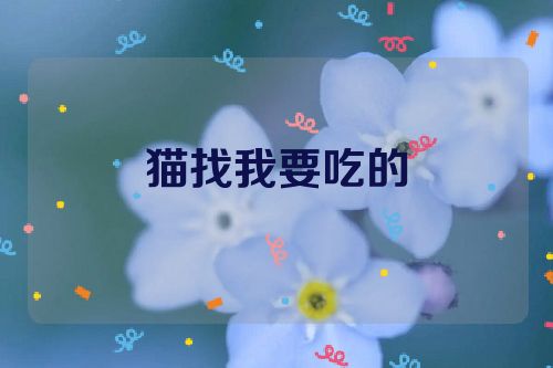 猫找我要吃的