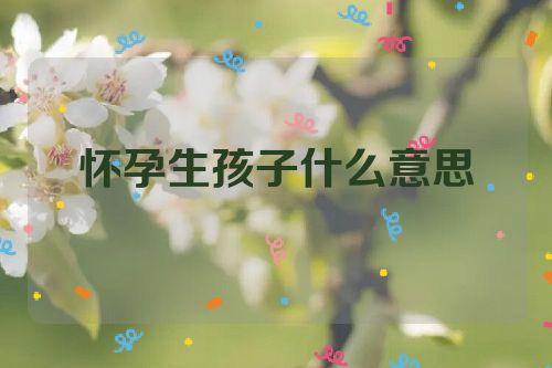 怀孕生孩子什么意思