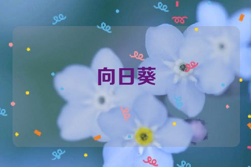 向日葵