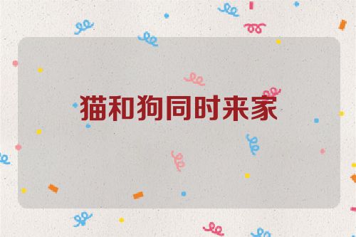 猫和狗同时来家