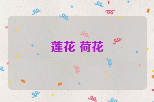 莲花 荷花