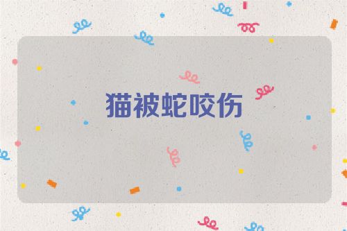 猫被蛇咬伤