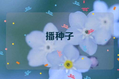播种子