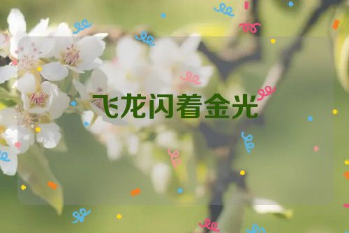 飞龙闪着金光