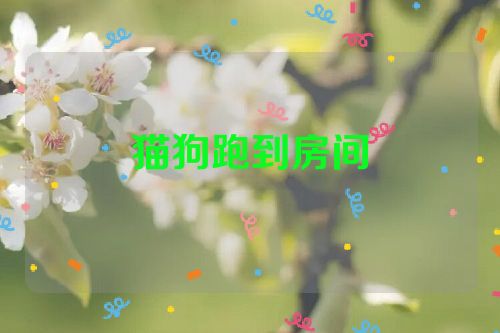 猫狗跑到房间