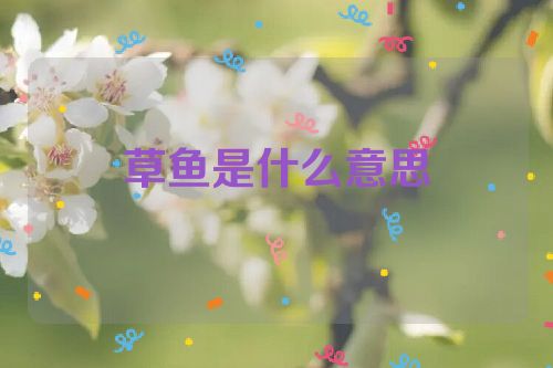 草鱼是什么意思
