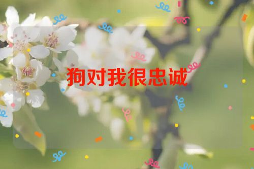 狗对我很忠诚