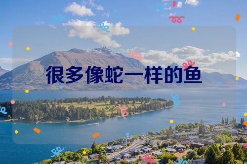 很多像蛇一样的鱼