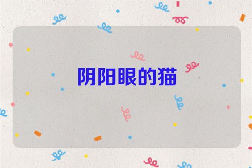 阴阳眼的猫