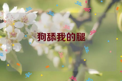 狗舔我的腿