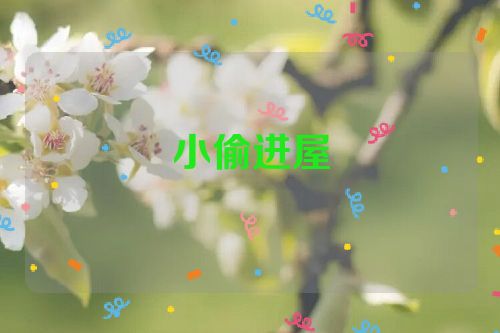 小偷进屋