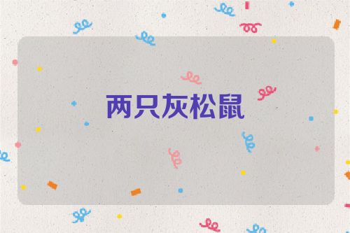 两只灰松鼠