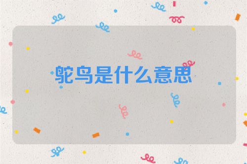 鸵鸟是什么意思​