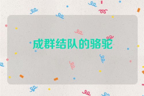 成群结队的骆驼