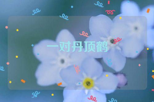 一对丹顶鹤