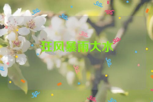 狂风暴雨大水