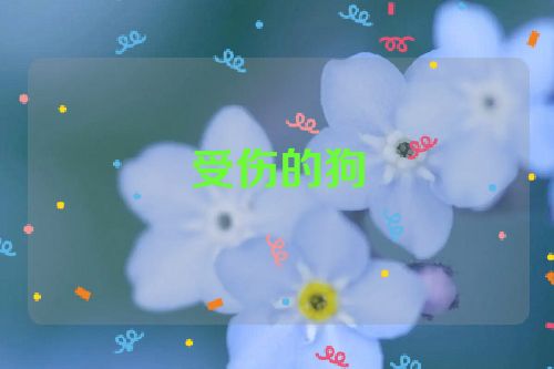 受伤的狗