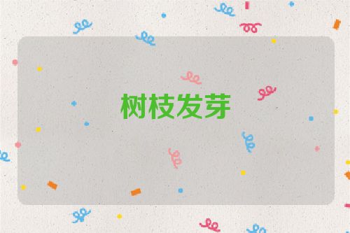 树枝发芽
