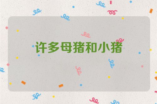 许多母猪和小猪