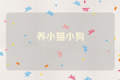 养小猫小狗