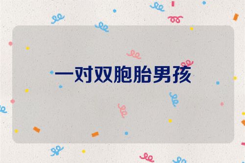一对双胞胎男孩