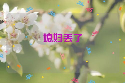 媳妇丢了