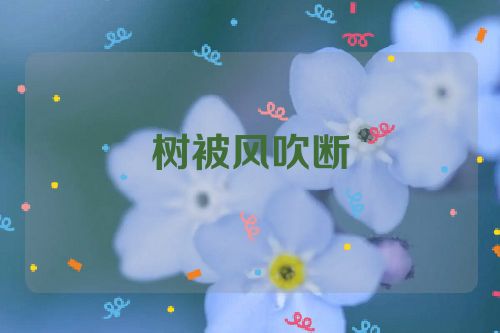 树被风吹断