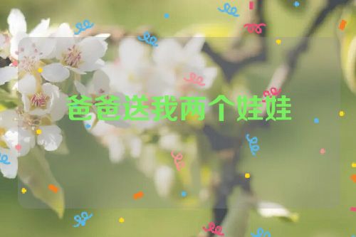 爸爸送我两个娃娃