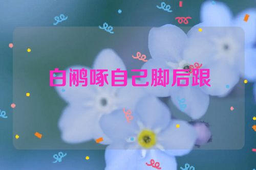 白鹇啄自己脚后跟