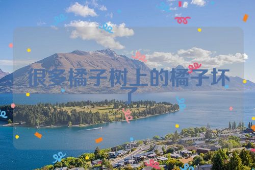 很多橘子树上的橘子坏了
