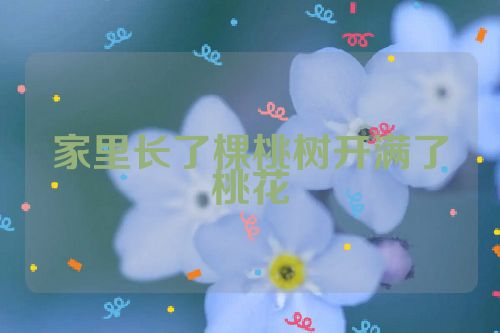 家里长了棵桃树开满了桃花