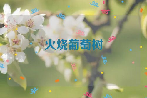 火烧葡萄树