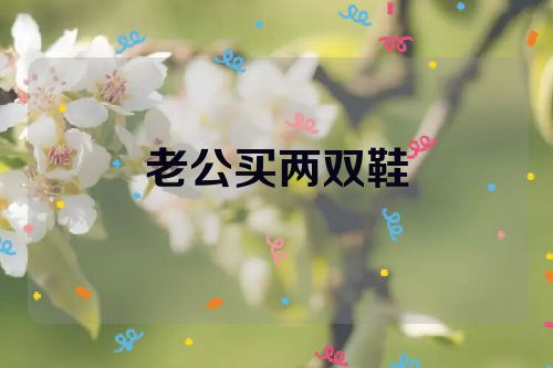 老公买两双鞋