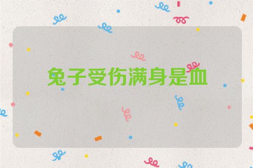 兔子受伤满身是血