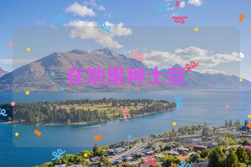 在地里种土豆