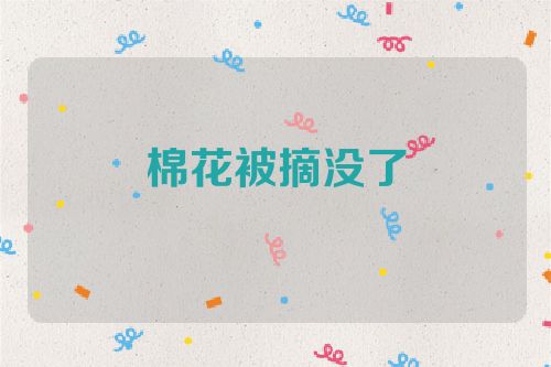 棉花被摘没了