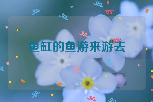 鱼缸的鱼游来游去