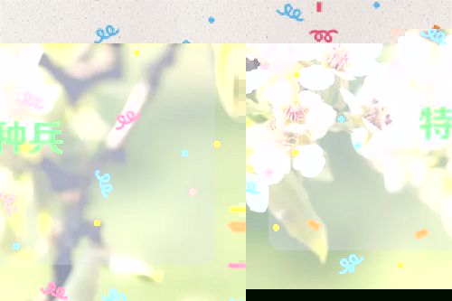 特种兵