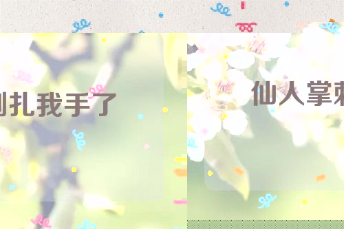仙人掌刺扎我手了
